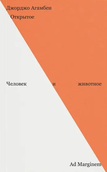 Открытое. Человек и животное