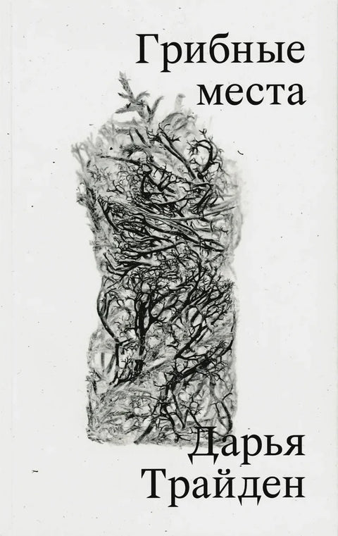 Грибные места