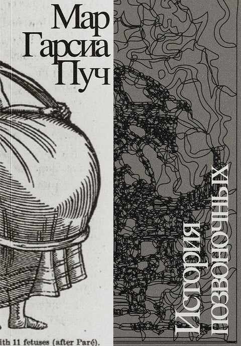 История позвоночных
